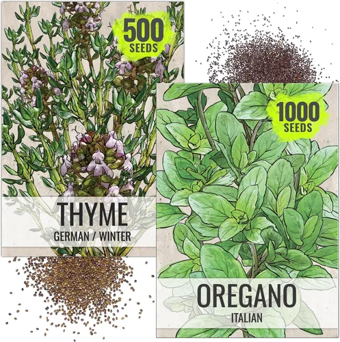 Vista 7 de Seed Needs, Colección de paquetes de semillas de hierbas italianas (5 variedades individuales de semillas para plantar) sin OMG y sin tratar