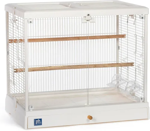 Prevue Pet Products Jaula de cristal transparente para pájaros, ideal para pájaros pequeños como periquitos, periquitos, pinzones, cacatúas y