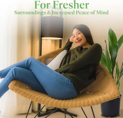 Vista 6 de American Plant Exchange - Planta de Hierro Fundido – Planta viva de 10 pulgadas en maceta, siempreverde, resistente a poca luz, planta de follaje