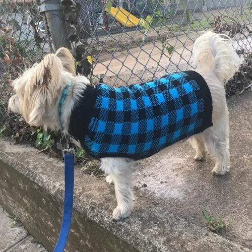 Vista 9 de PUPTECK - Suéteres para perros grandes, medianos y pequeños - Estilo clásico a cuadros de otoño, abrigo de invierno para cachorros, ropa cálida