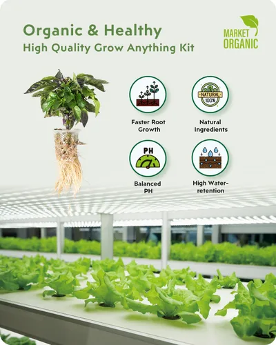 Vista 2 de URUQ 140 unidades de cápsulas hidropónicas: compatibles con kits de hierbas AeroGarden Grow Anything - Incluye esponjas de cultivo, cestas