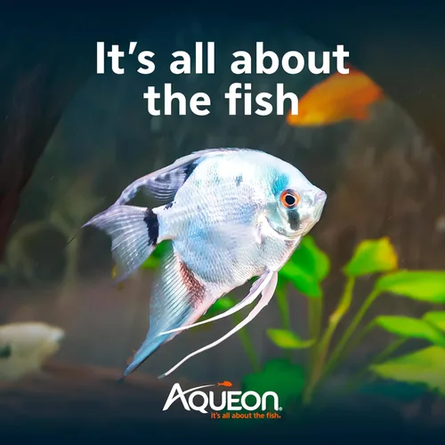 Vista 3 de Aqueon Cichlid - Pellets de comida para peces de hundimiento lento, tamaño mediano, 25 onzas
