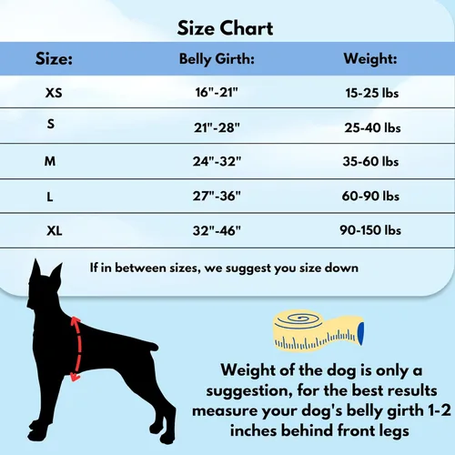 Vista 3 de ShawnCo Dream Walk - Arnés para perro sin tirones, ajustable, cómodo, fácil de usar, para ayudar a dejar de tirar, para perros pequeños, medianos