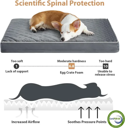 Vista 3 de WNPETHOME - Cama ortopédica para jaula de perros, XXL, impermeable, con funda extraíble y lavable, base antideslizante y colchoneta acolchada