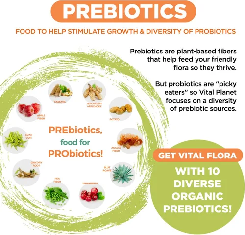 Vista 5 de Vital Planet - Vital Flora Advanced Biome Probiotic 100 mil millones de UFC, 100 cepas diversas, 10 prebióticos orgánicos, apoyo inmunológico