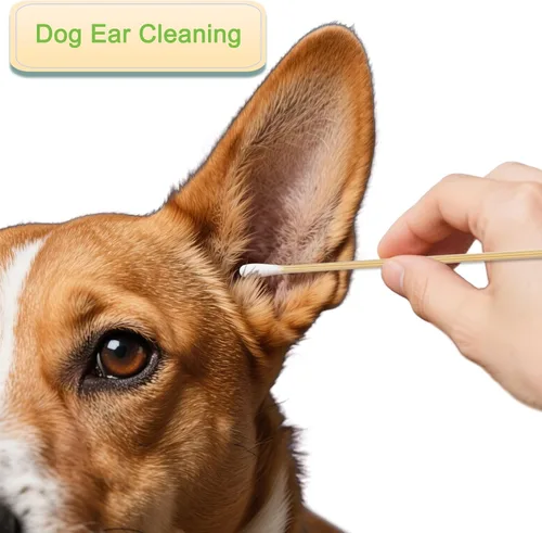 Vista 6 de 200 hisopos largos de algodón de madera, palitos de algodón de limpieza con mango de madera para aplicadores de pistola de maquillaje de aceite