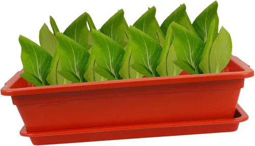 Vista 2 de Yardwe Contenedor de planta suculenta Rectángulo de plástico Maceta de vegetales Caja con drenaje Decoración de jardín