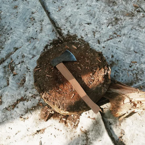 Vista 2 de DOITOOL 2 piezas de mango de hacha de repuesto para hacha, mango de repuesto para campamento, hacha de campamento