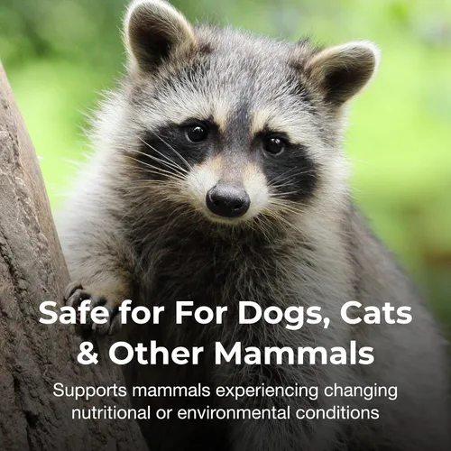 Vista 4 de PetAg Bene-Bac Plus - Polvo de 1 libra - FOS y probióticos para perros, gatos, mamíferos exóticos y de vida silvestre