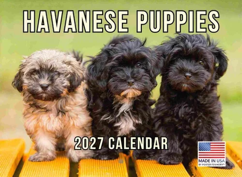 Vista 83 de Calendario mensual de pared Golden Retriever 2027, 12 meses