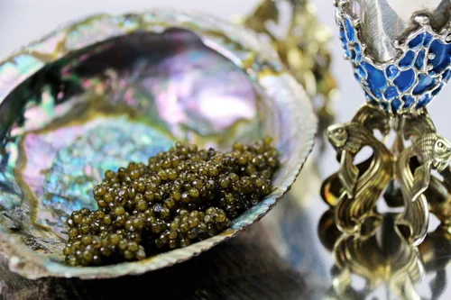 Vista 3 de $33 oz. Kaluga Sturgeon Caviar, calidad premium 16 oz 16.01 oz