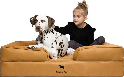 Vista 17 de NOAH & PAW Cama pequeña para perros, 20 x 15 x 8 pulgadas, cama para gatos de interior, espuma viscoelástica ortopédica de cáscara de huevo