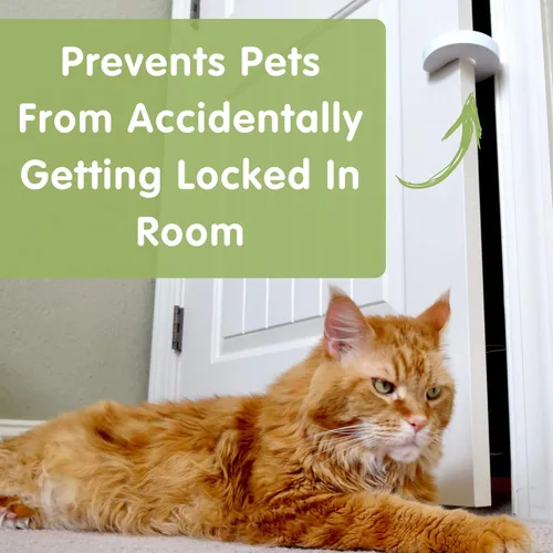 Vista 4 de Wittle Protector de pellizco para dedos, tope de puerta a prueba de bebés con espuma suave y duradera, evita que las puertas se golpeen, evita