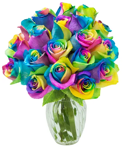 Vista 66 de KaBloom - Rosas arcoíris (media docena)- Flores frescas para cumpleaños, San Valentín y Día de la Madre