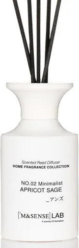 M&SENSE Juego de difusor de junco, difusor grande de varillas de 10.14 onzas líquidas, aroma a salvia albaricoque con aceites esenciales naturales,