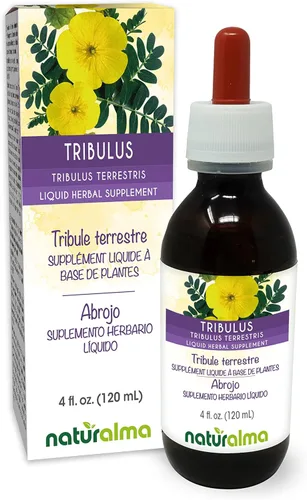 Naturalma Tribulus (Tribulus terrestris) Tintura de frutas sin alcohol - Extracto líquido en gotas de 4 onzas líquidas - Suplemento de hierbas -