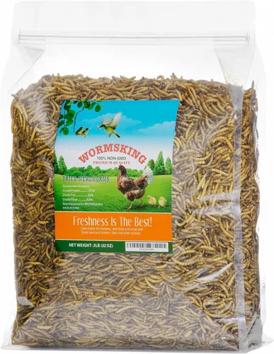 WORMSKING Gusanos secos de harina de 2 libras para aves de corral, aves silvestres, sabrosa comida para pájaros