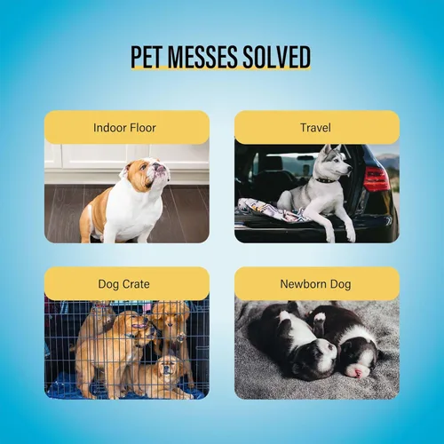 Vista 5 de COCOYO Almohadillas de entrenamiento de mejor valor, 22 x 22 pulgadas, 100