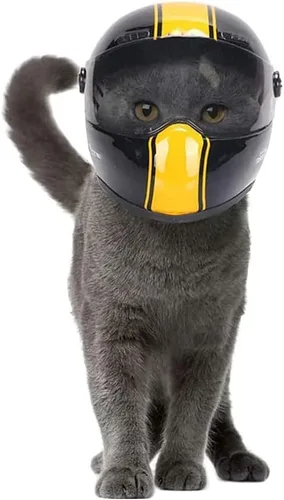 Vista 9 de Casco de motocicleta para mascotas, casco de motocicleta de cara completa, para exteriores, para gato, perro, perrito, cachorro, gatito, casco