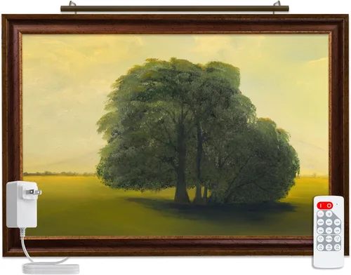 Vista 6 de Luz de serie Vision con enchufe, LED de control remoto para arte e imágenes - Fabricado en EE. UU. - Sintonización de color 2700 K - 4000 K