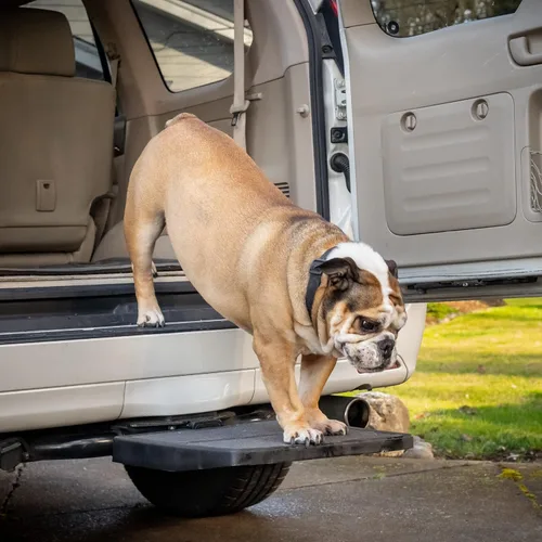 Vista 3 de Rampa y escalón para mascota para auto Otto Step