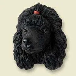 Vista 134 de Imán negro de Pomerania 4-Negro