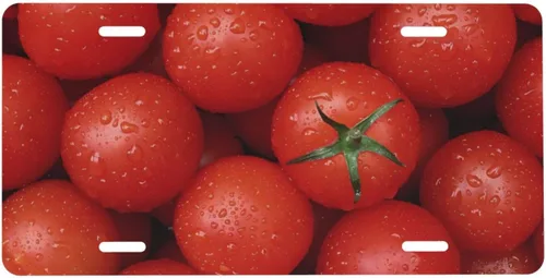 Vista 11 de Placa de matrícula bendita de flores de mamá, placa de aluminio floral, cubierta de placa de matrícula delantera para automóvil de metal, accesorio