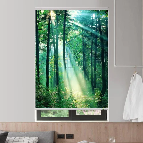 Vista 7 de ZSHINE Persianas enrollables motorizadas con motor recargable, tela opaca completa, tamaño personalizado y compatible con fotos Alexa a través de Hub