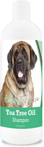 Vista 11 de Healthy Breeds Chow Chow Champú de aceite de árbol de té, formulado para pieles secas e irritadas, reduce la caspa, aroma de gaulteria, 8 onzas