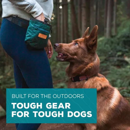 Vista 6 de Wilderdog Bolsa de entrenamiento para perros con cierre magnético y cremallera, mosquetón adjunto, correa de cintura ajustable - verde