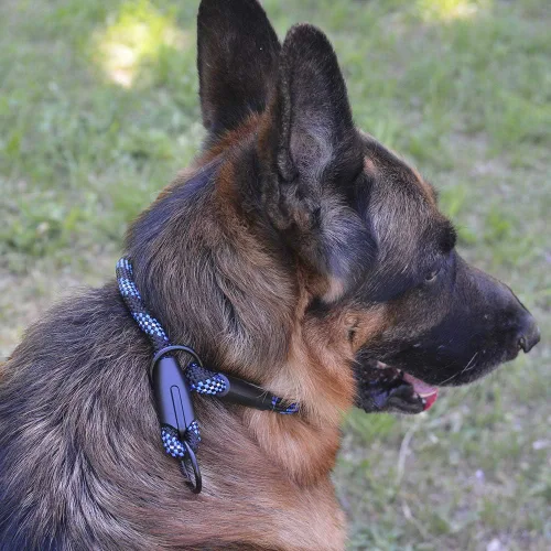 Vista 7 de BronzeDog Rope Pro - Collar de entrenamiento para perro trenzado sin tirones, collares redondos de liberación rápida para perros pequeños, medianos