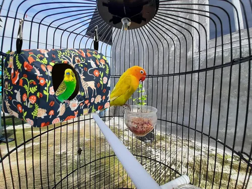 Vista 3 de ShuRung - Cama de nido de pájaros, cama cálida para colgar en invierno, hamaca colgante para pájaros, cama para dormir, loro, cama de escondite