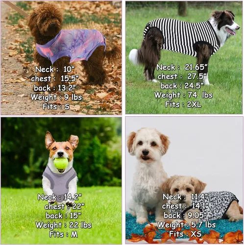 Vista 2 de Traje de recuperación quirúrgica para perro, después de esterilización, heridas abdominales postquirúrgicas, traje para perros, hembra, macho
