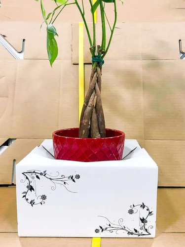 Vista 6 de Cajas de cartón para jarrón para entrega, cajas de floristería (8 x 8 x 4 pulgadas), paquete de 10