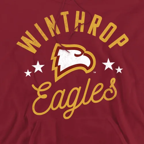 Vista 267 de LOGOVISION Colección oficial de sudaderas con capucha para adultos con capucha de la mascota desgastada