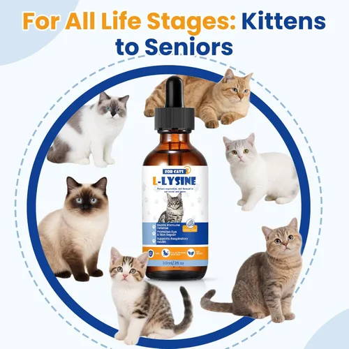 Vista 5 de Premium Cat L-Lysine Liquid Drops for Immune Support and Respiratory Health Helps with Sneezing Eye Discharge and Stress Relief with Essential