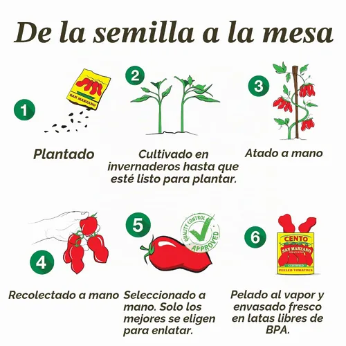 Vista 7 de CENTO San Marzano Tomates pelados orgánicos, 28 oz (Paquete de 6)