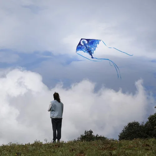 Vista 8 de Mint's Colorful Life Cometa de avión y cometa de dragón para niños y adultos
