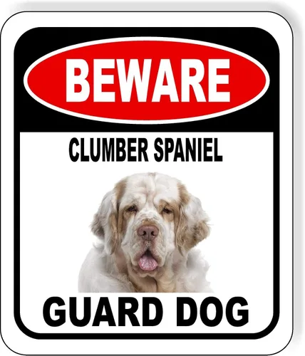 Vista 19 de BEWARE BASSETT HOUND GUARD DOG - Letrero compuesto de aluminio para exteriores, 8.5 x 10 pulgadas