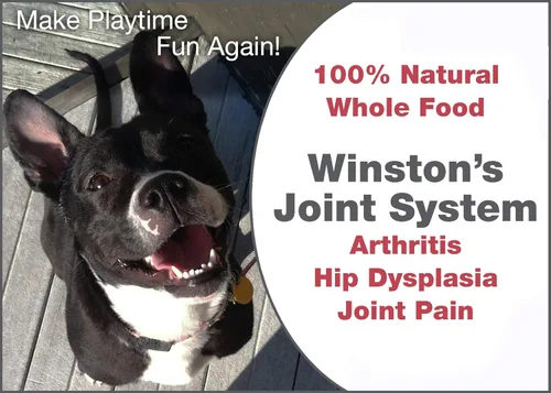 Vista 4 de Winston Joint System - para perros medianos de 40 a 99 libras - Suplemento alimenticio integral 100% natural para artritis, displasia de cadera