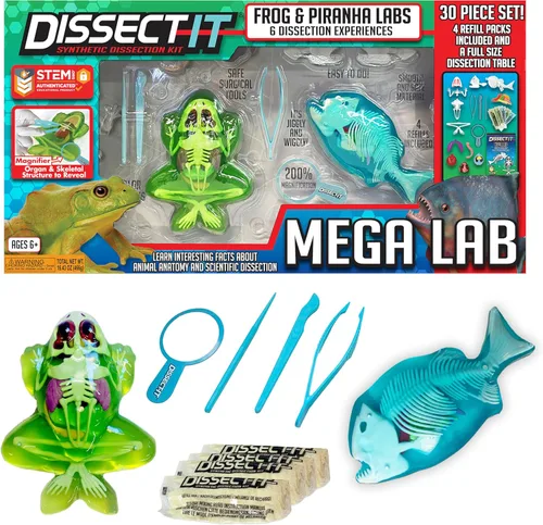 Vista 9 de Dissect-It Juguete de Disección de Laboratorio Sintético Simulado, Proyectos STEM para Niños, Ciencia Animal, Biología y Anatomía Kit de Aprendizaje