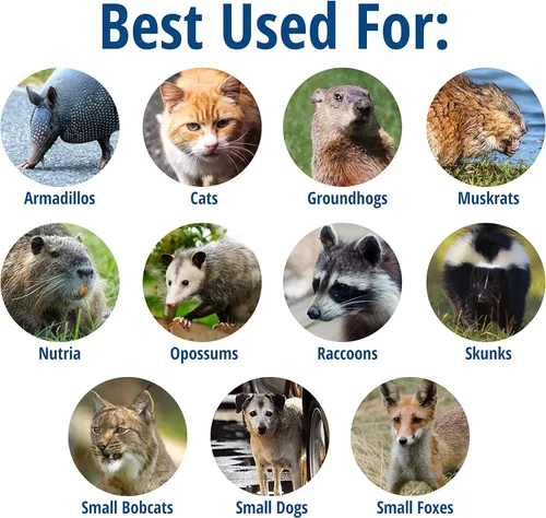 Vista 2 de Havahart Large 2 Door Humane Catch and Release Live Animal Trap for Armadillos, Beavers, Bobcats, Small Dogs, Cats, Foxes, Groundhogs, Nutria