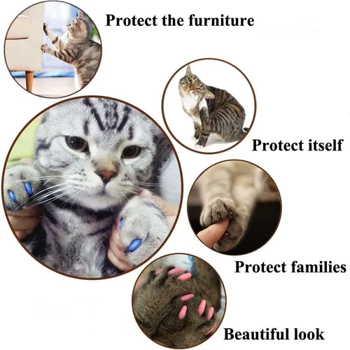 Vista 5 de VICTHY Tapas y cubiertas de uñas para gatos con pegamento y aplicadores, 100 piezas en 5 colores para tamaños extra pequeños/gatitos