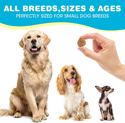 Vista 6 de Probióticos para perros, probióticos para perros para diarrea y apoyo intestinal, las enzimas digestivas promueven la salud intestinal, la salud