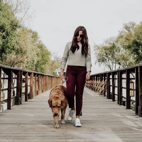 Vista 7 de Mile High Life Correa corta para perros grandes, correa de cuerda corta para perro con cierre resistente de metal resistente, conexión a medida