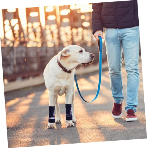 Vista 5 de BESTonZON 4pcs Pet Elbow Protectors Dog Leg Warmers Sleeves for Licking Prevention and Comfort