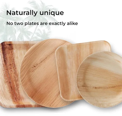 Vista 4 de Indie Palm Platos cuadrados desechables de hoja de palma de 6 pulgadas, alternativa compostable resistente, biodegradable a platos de bambú o platos