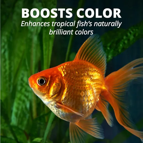 Vista 17 de Tetra Goldfish Flakes, dieta nutricionalmente equilibrada para peces de acuario, copos enriquecidos con vitamina C, 4.52 libras