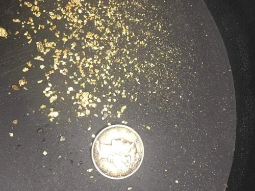 Vista 4 de Gold Paydirt 50 LB de Colorado - Bolsas de tierra doradas sin buscar - Pan At Home - Oro garantizado