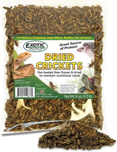 Grillos secos de 1/2 libra – Golosinas de insectos con alto contenido de proteínas – pollos, aves silvestres, erizos, pájaros azules, reptiles,